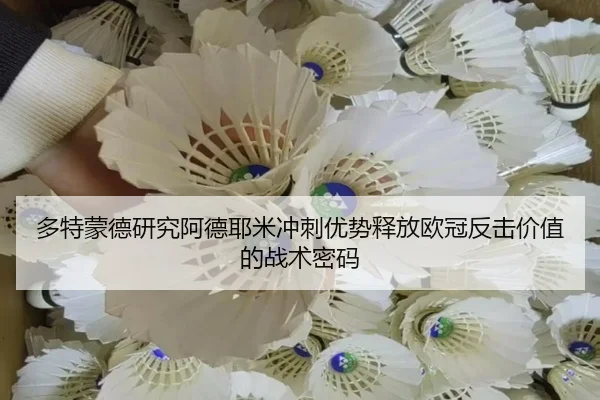 多特蒙德研究阿德耶米冲刺优势释放欧冠反击价值的战术密码 | pg